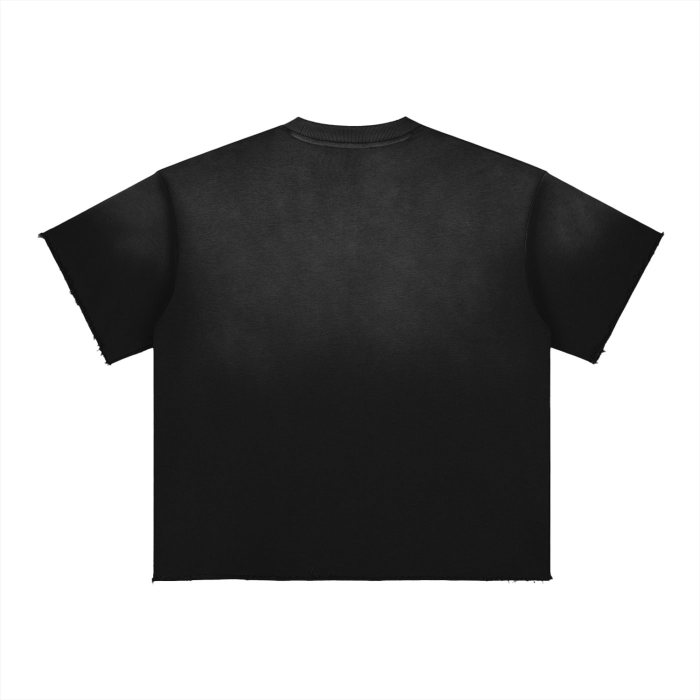 "bought with a price" Sun Fade | T-Shirt