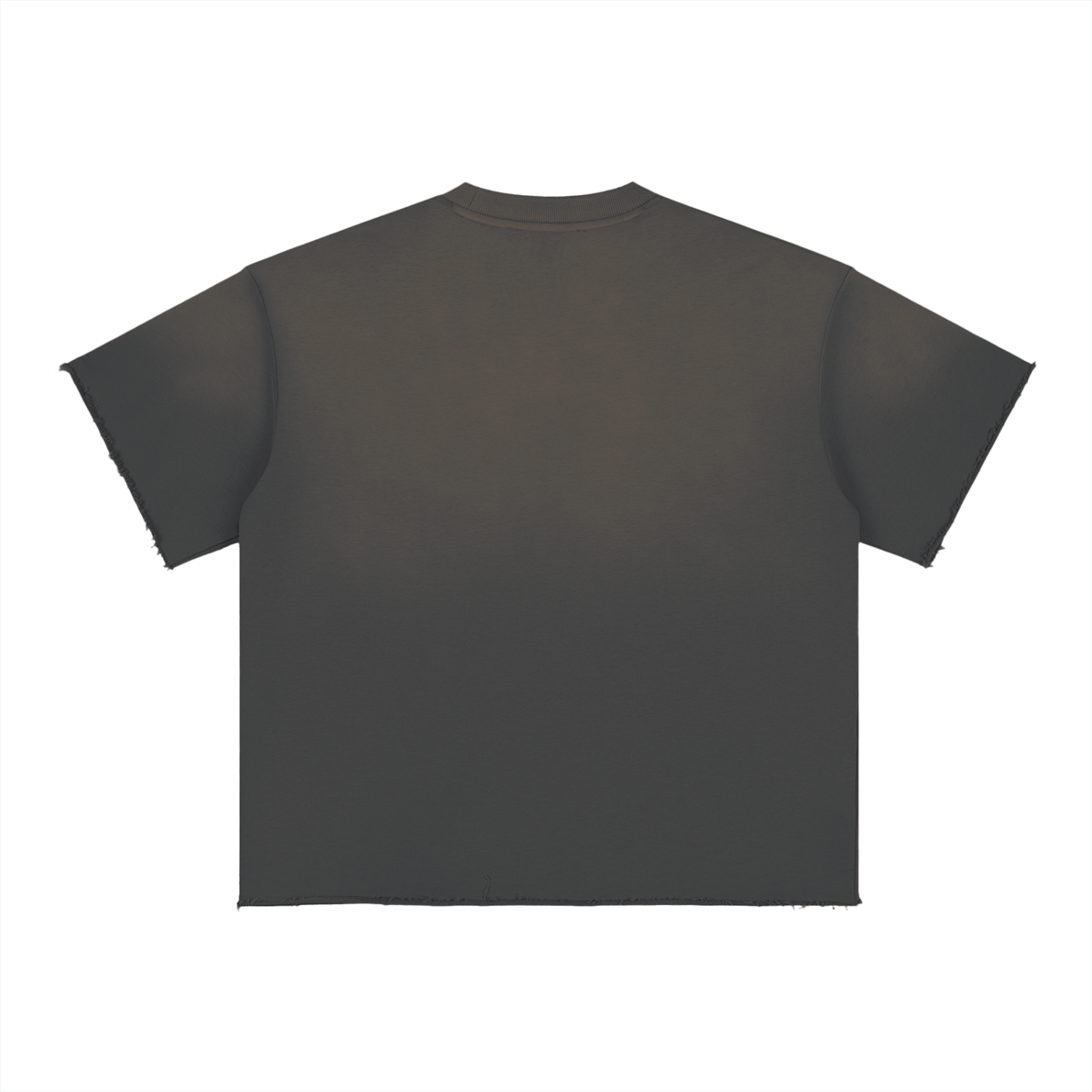 "bought with a price" Sun Fade | T-Shirt